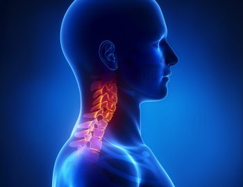 shutterstock_128794678